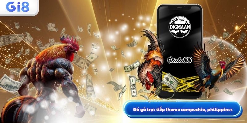 Đá gà trực tiếp thomo
