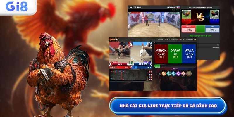 Nhà cái Gi8 live trực tiếp đá gà đỉnh cao