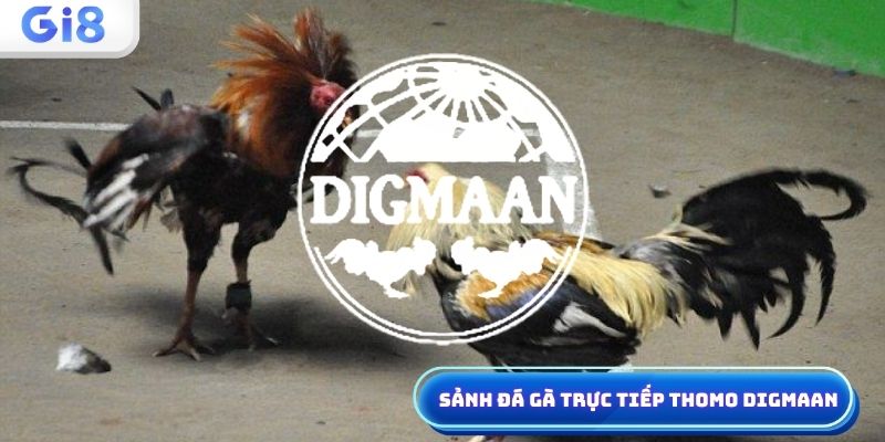 Đá gà Digmaan