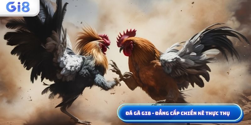 Đá gà Gi8