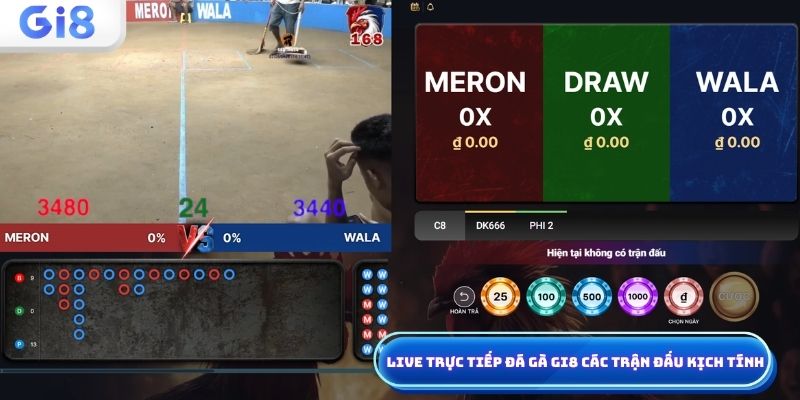 Live trực tiếp đá gà Gi8 